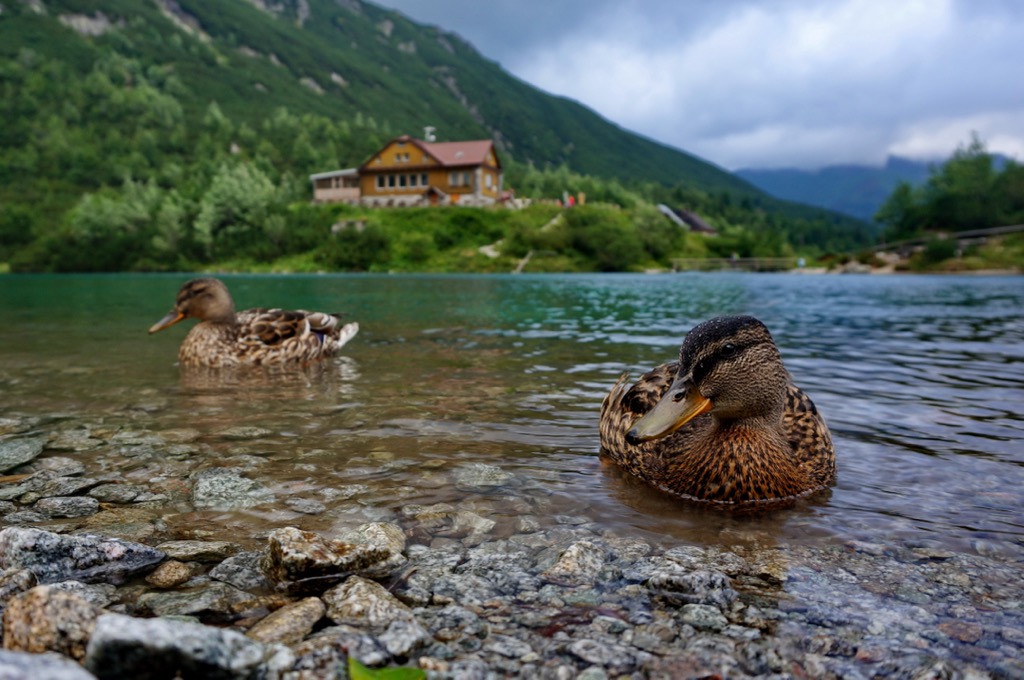 Zelené Pleso, Tatra National Park, Slovakia