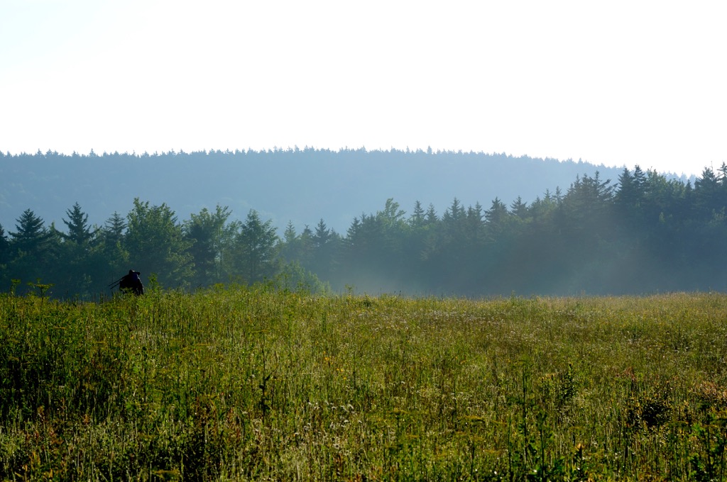 Tea Creek Wildlife Management Area, West Virginia