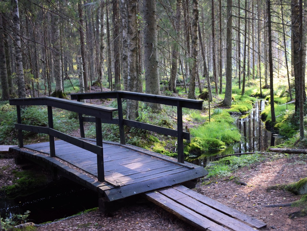 Teijo National Park, Southwest Finland
