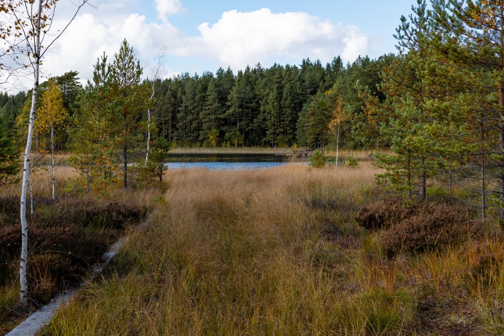 Teijo National Park, Southwest Finland