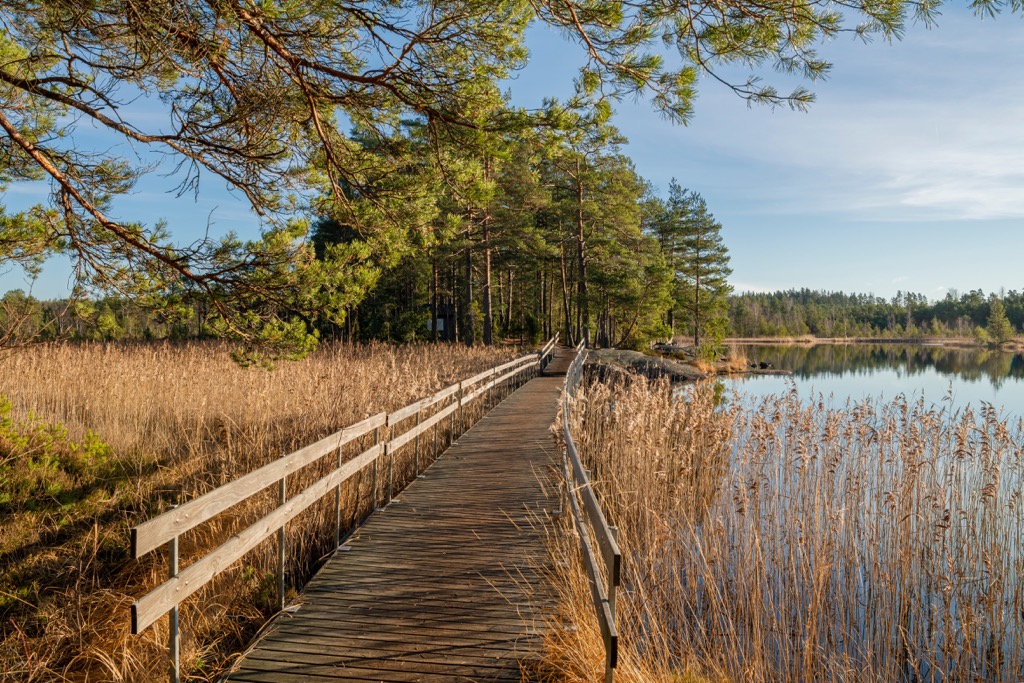 Teijo National Park, Southwest Finland