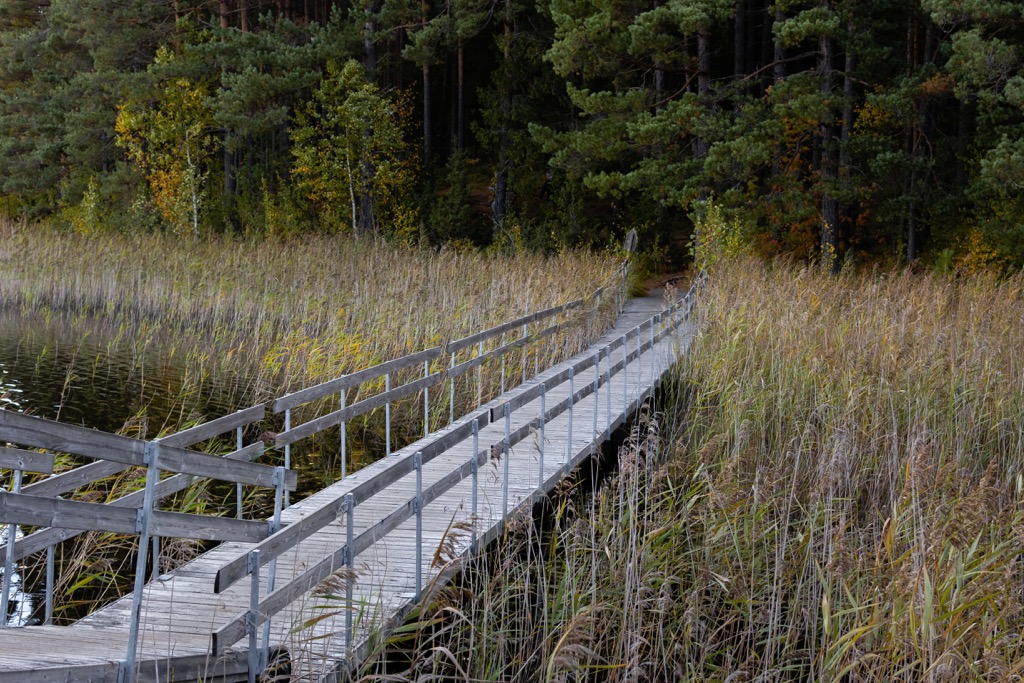 Teijo National Park, Southwest Finland