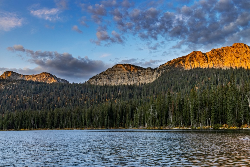 The Ten Lakes Wilderness Study Area, Montana 