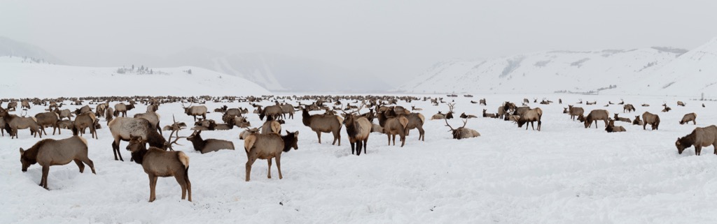 Teton Range, Wyoming