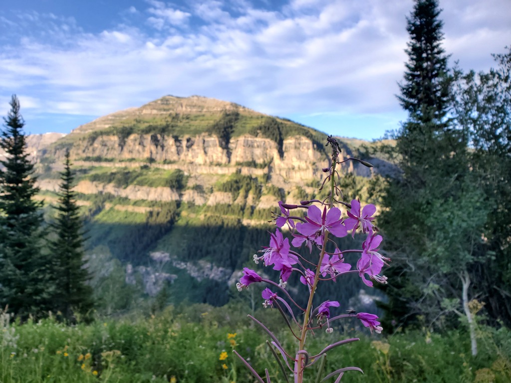 Table Mountain, Teton Range, Wyoming
