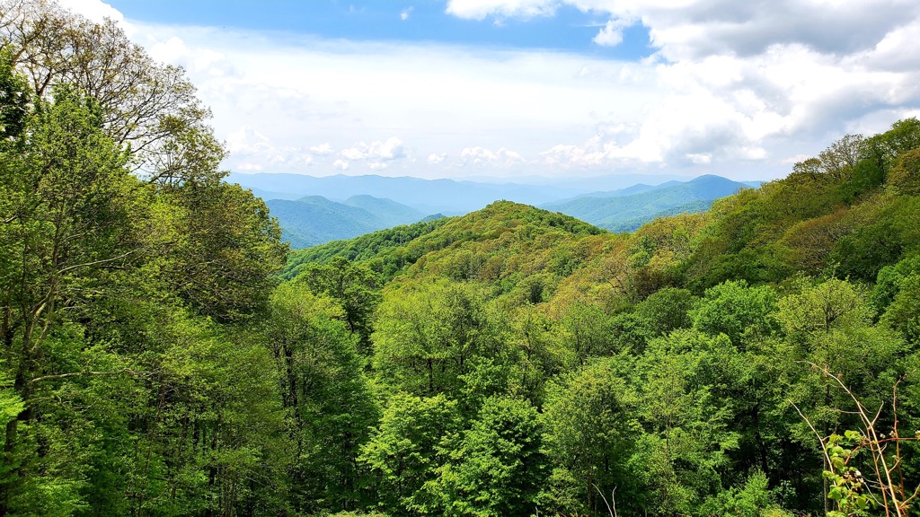 Teyahalee Bald, Snowbird Mountains, North Carolina, USA