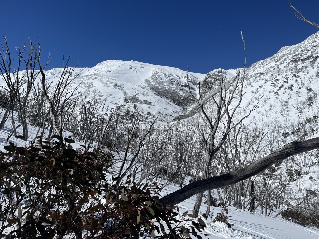 Leatherbarrel Creek. Photo: Sergei Poljak. Thredbo Ski Resort