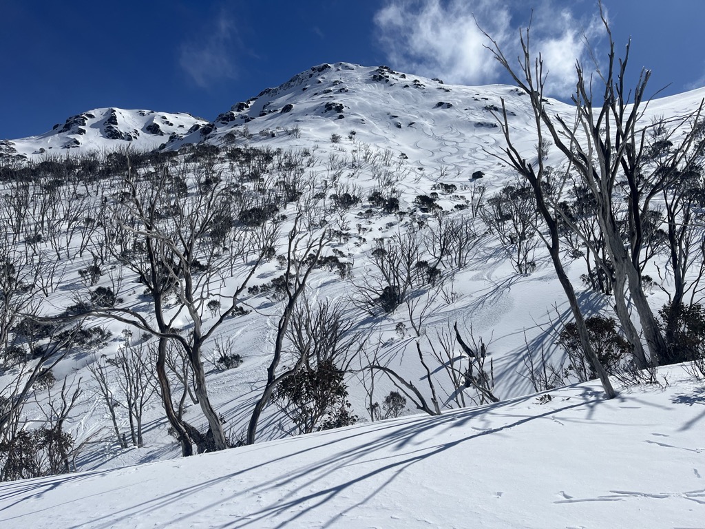 Twin Humps. Photo: Sergei Poljak. Thredbo Ski Resort