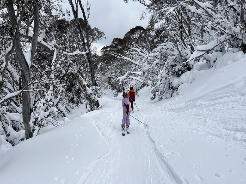 Thredbo winter wonderland. Photo: Sergei Poljak. Thredbo Ski Resort