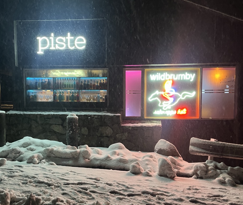 Wild Brumby! Photo: Sergei Poljak. Thredbo Ski Resort