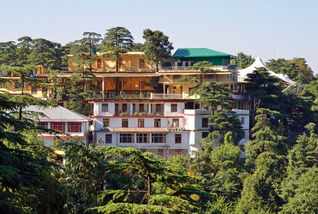 McLeod Ganj—Tibetan, China
