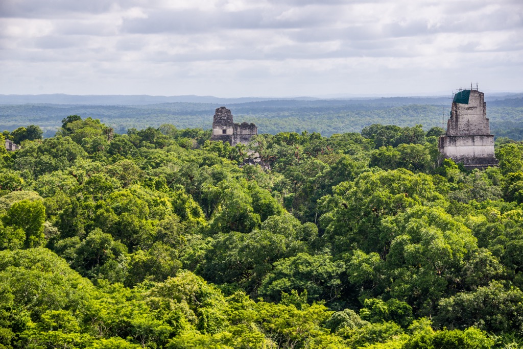 Tikal National Park, Guatemala