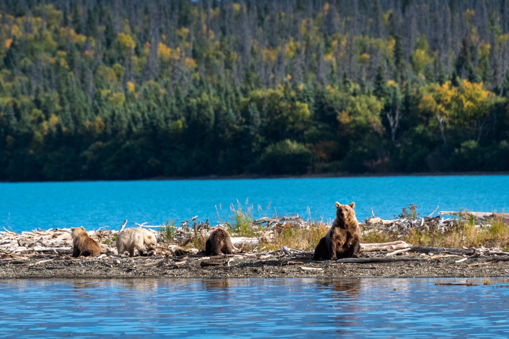 Togiak Wilderness, Alaska