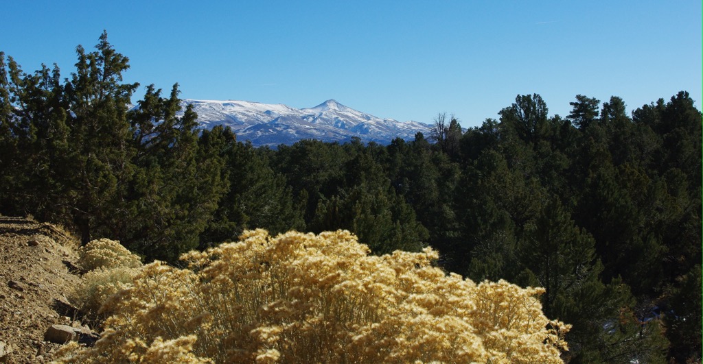 Toiyabe Range, Nevada