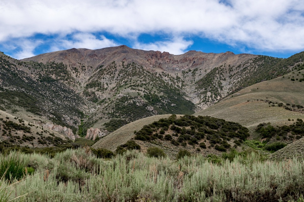 Toiyabe Range, Nevada