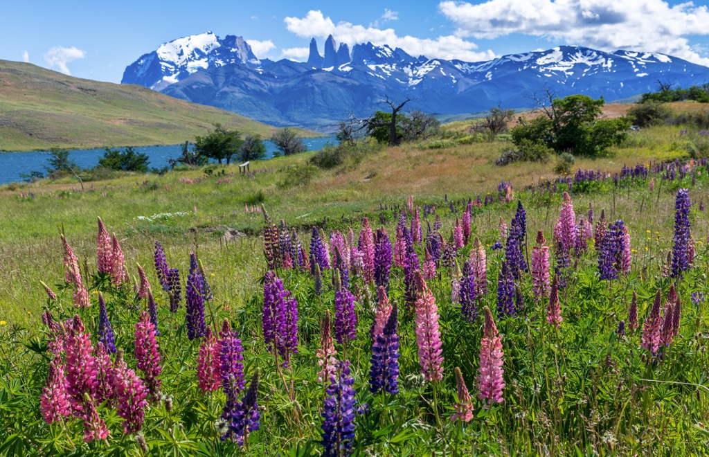 Torres del Paine National Park, Chile