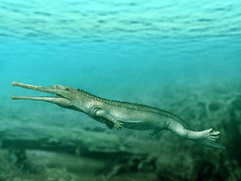 An artist’s rendition of Mystriosuchus, an extinct marine reptile resembling a modern crocodile. Totes Gebirge