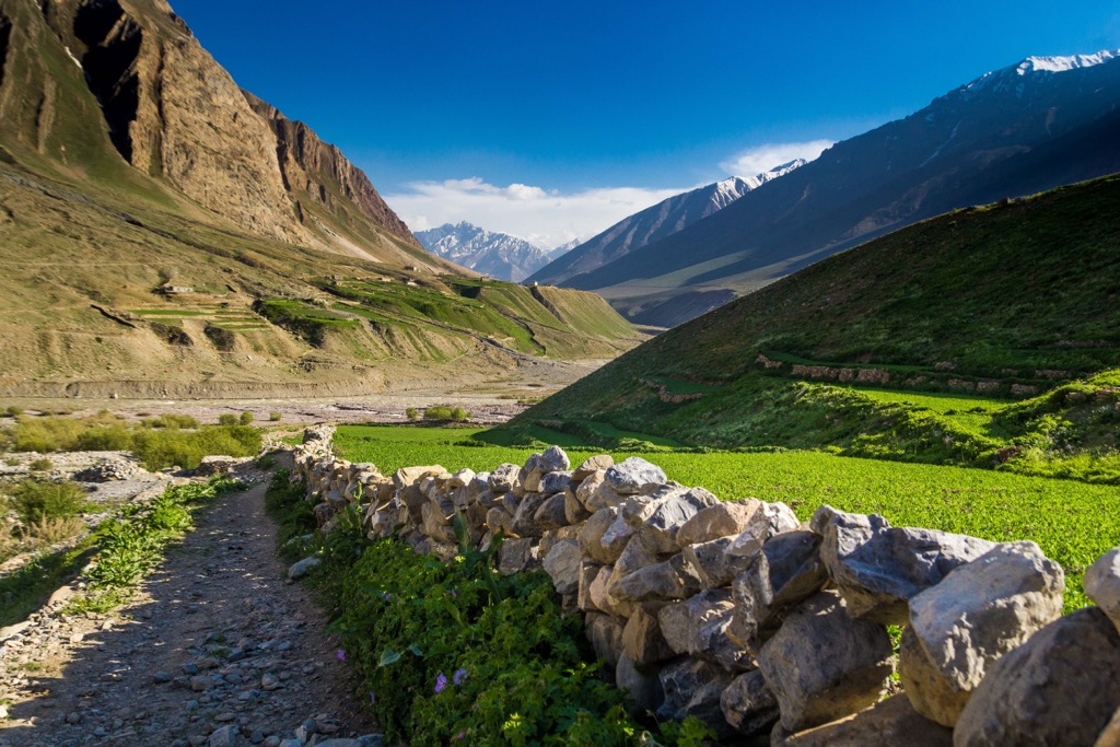 Pin Valley National Park, Trans-Himalaya