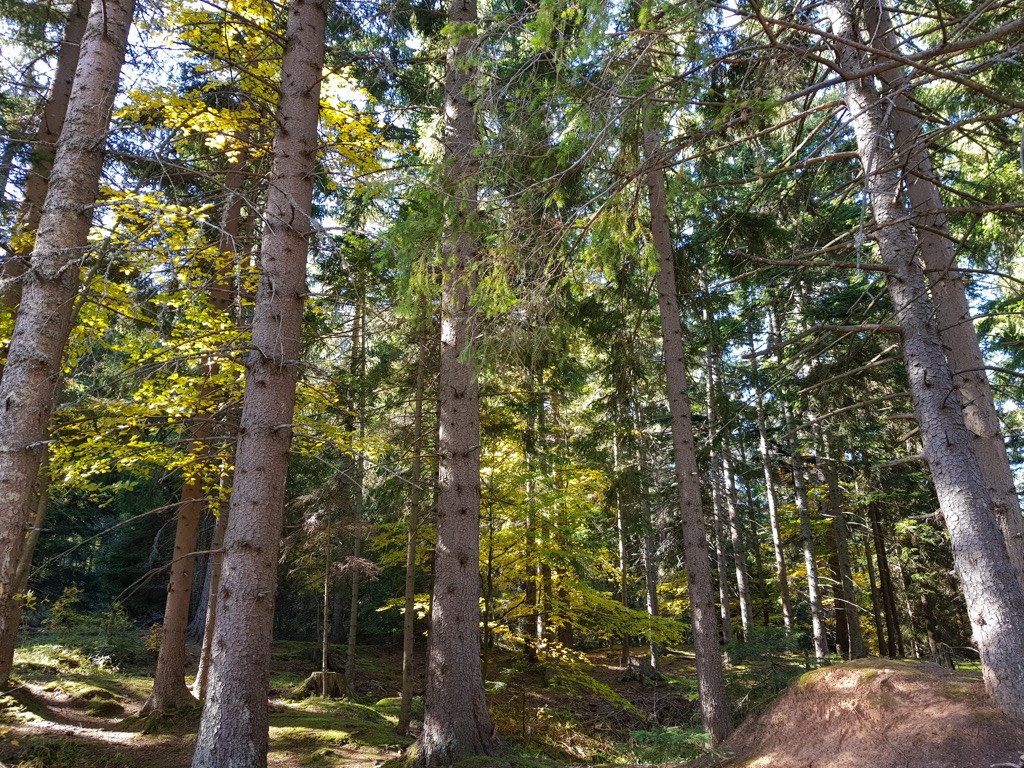 Trebevic, Bosnia and Herzegovina