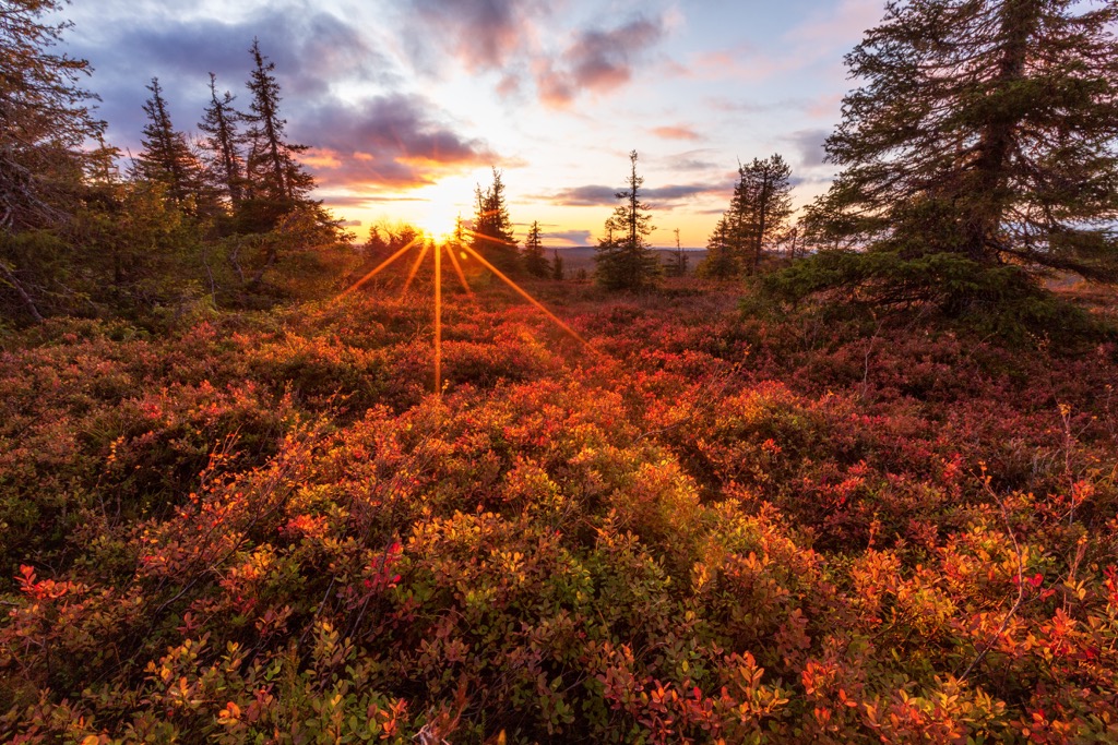 Tsarmitunturi Wilderness Area, Finland