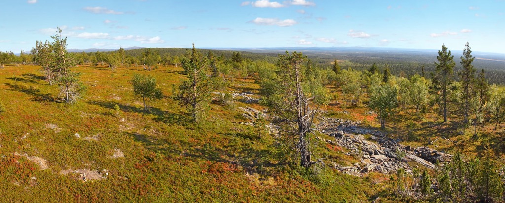 Tsarmitunturi Wilderness Area, Finland