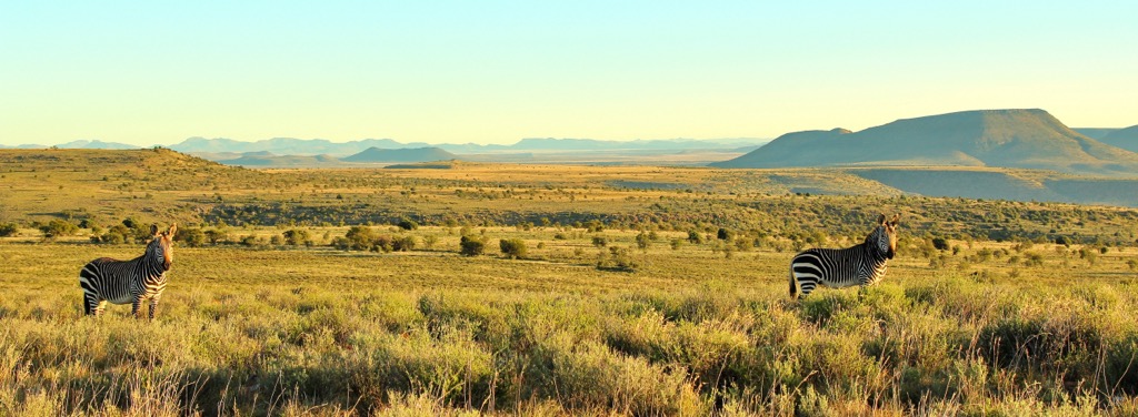 Tsolwana Nature Reserve