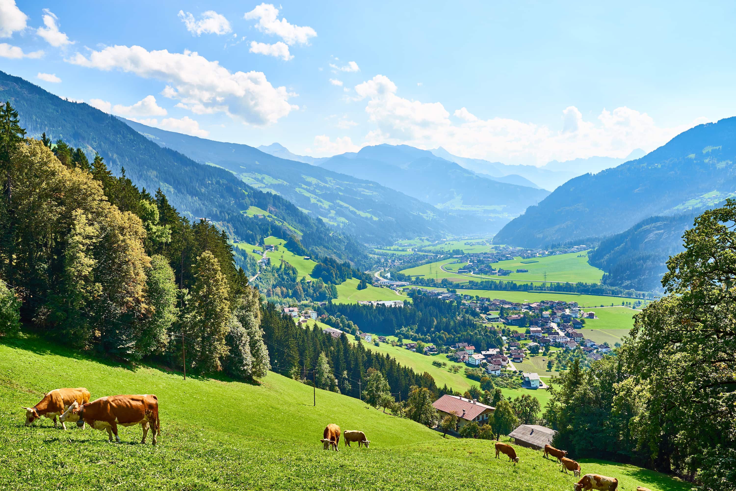 Zillertal valley, Tyrol, Austria