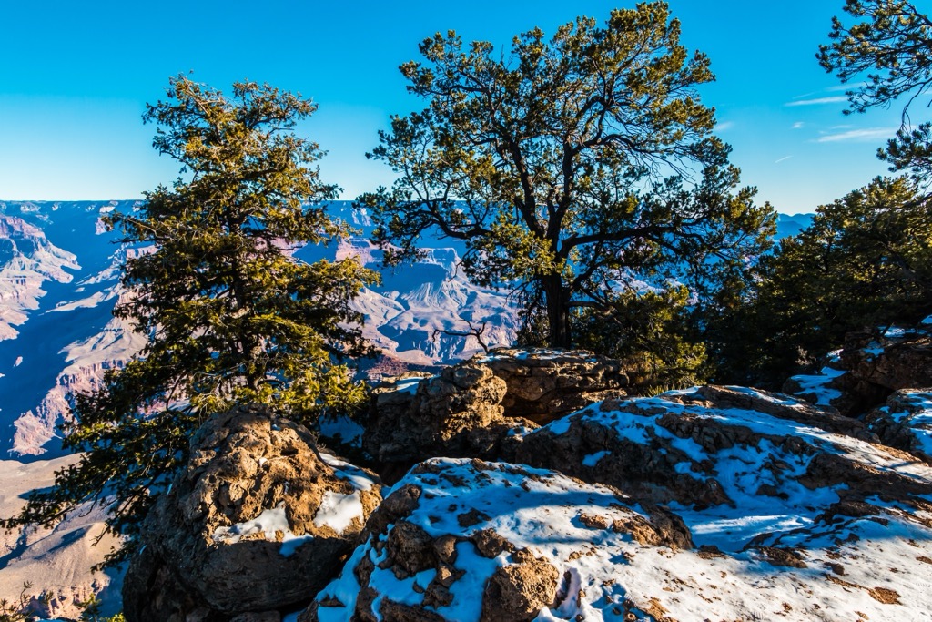 Uinkaret Plateau, Arizona