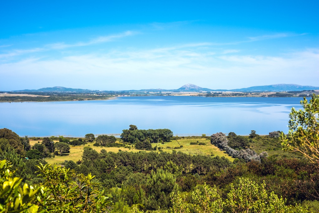 Lagoon of the Willow,  Uruguay