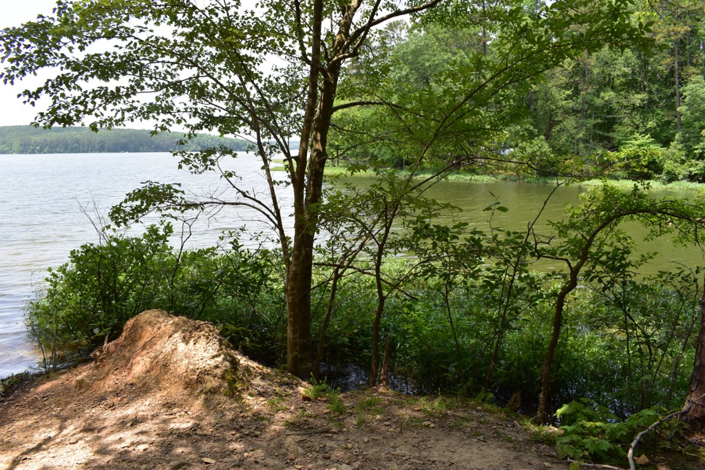 Uwharrie National Forest, North Carolina