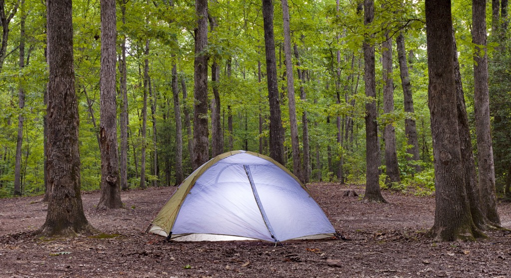 Uwharrie National Forest, North Carolina