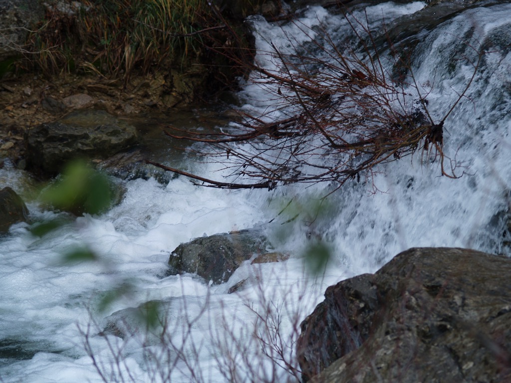 The Glinščica River is the lifeblood of the valley’s ecosystem. Val Rosandra