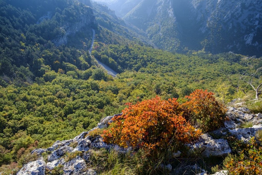 Val Rosandra is characterized by Mediterranean vegetation. Val Rosandra