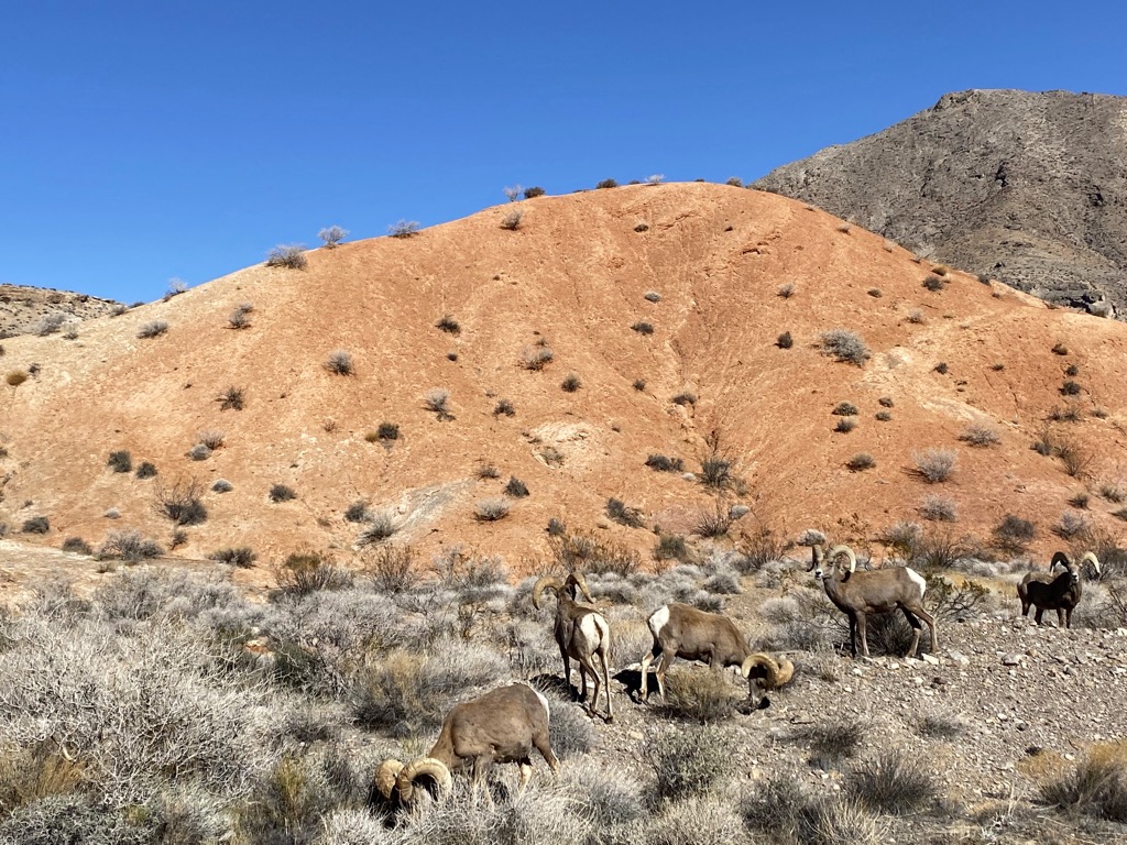 Valley of Fire State Park, Nevada