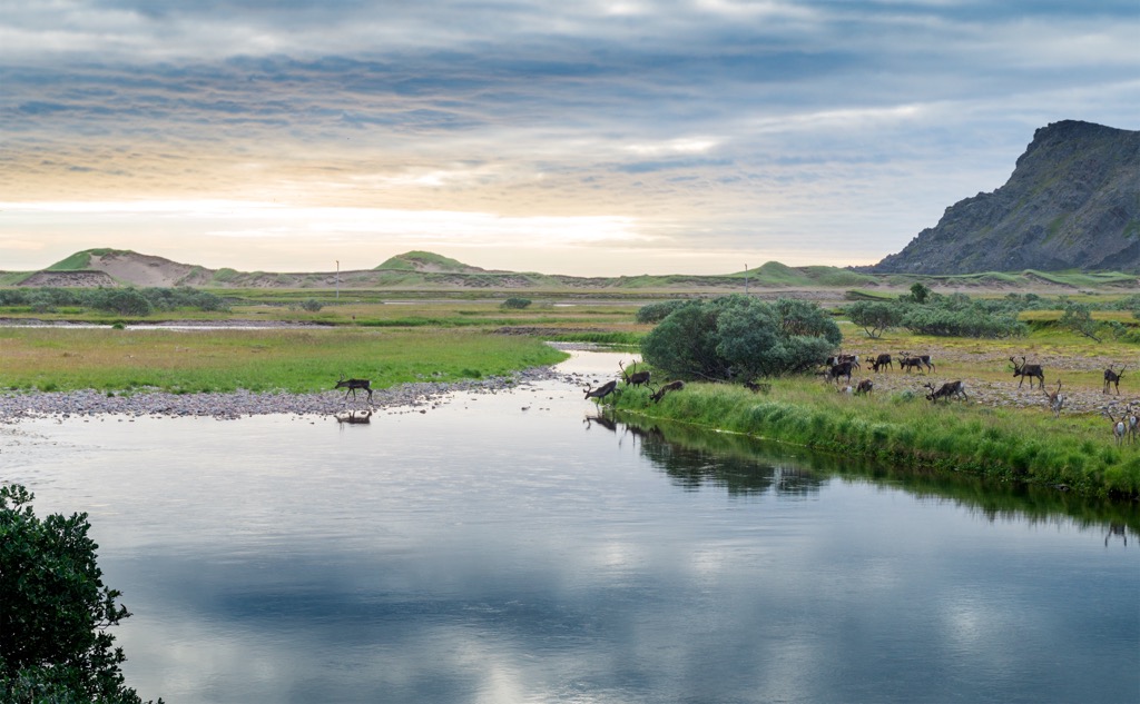 Varangerhalvøya National Park, Norway