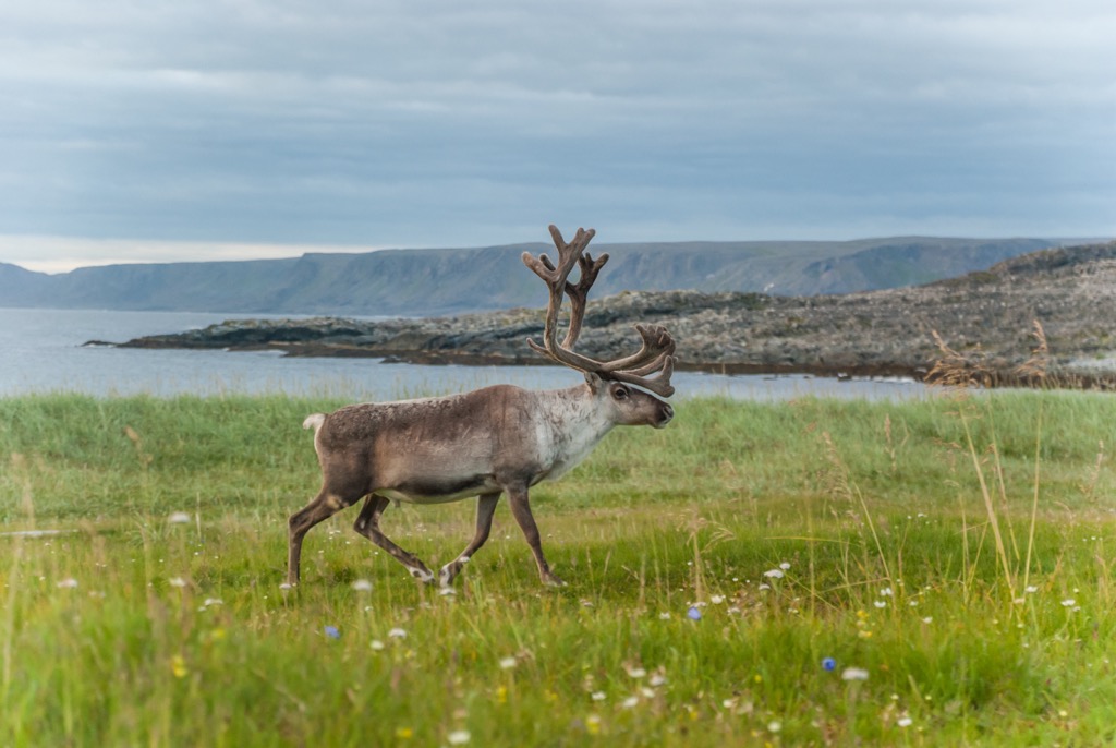 Varangerhalvøya National Park, Norway