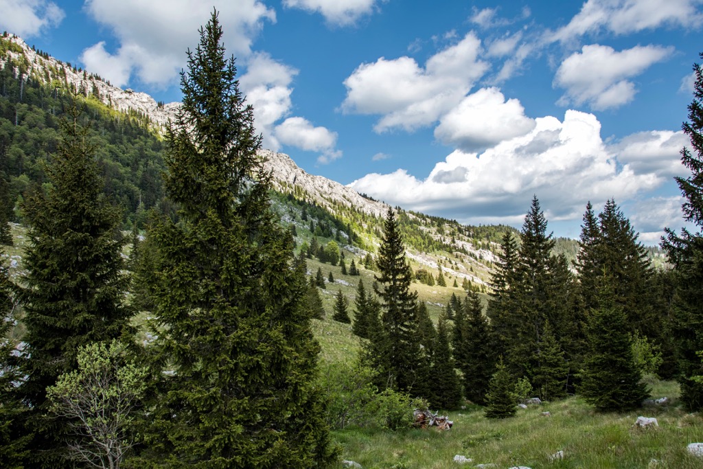 Veliki Rajinac, Velebit Nature Park or Park Prirode Velebit in Croatian