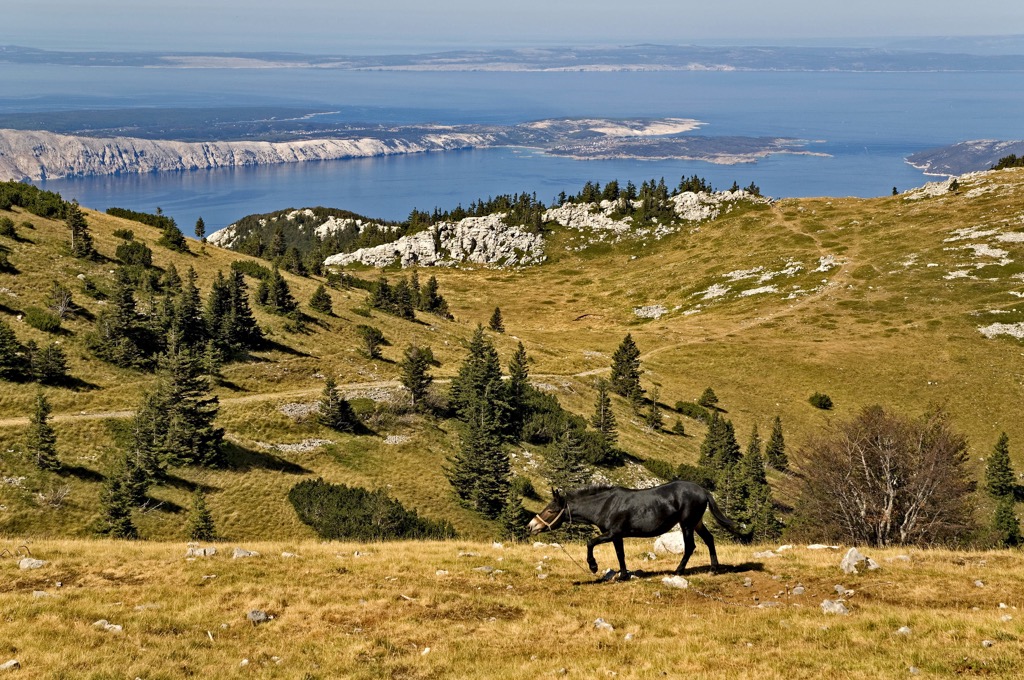 Velebit Nature Park or Park Prirode Velebit in Croatian