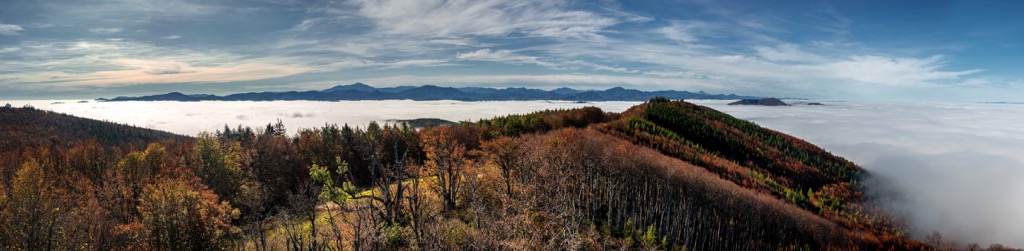 Vienna Woods, Austria