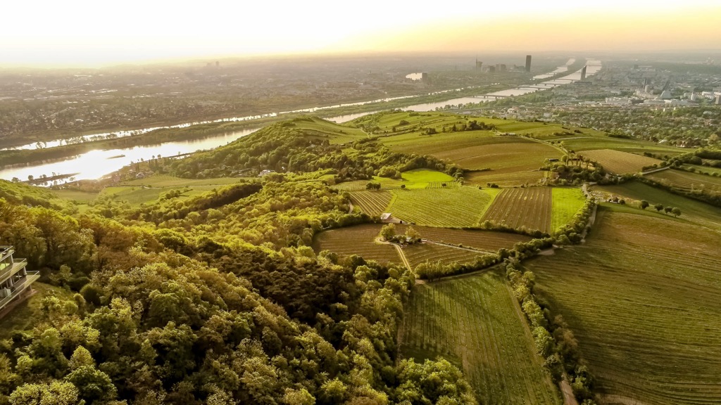 Vienna Woods, Austria