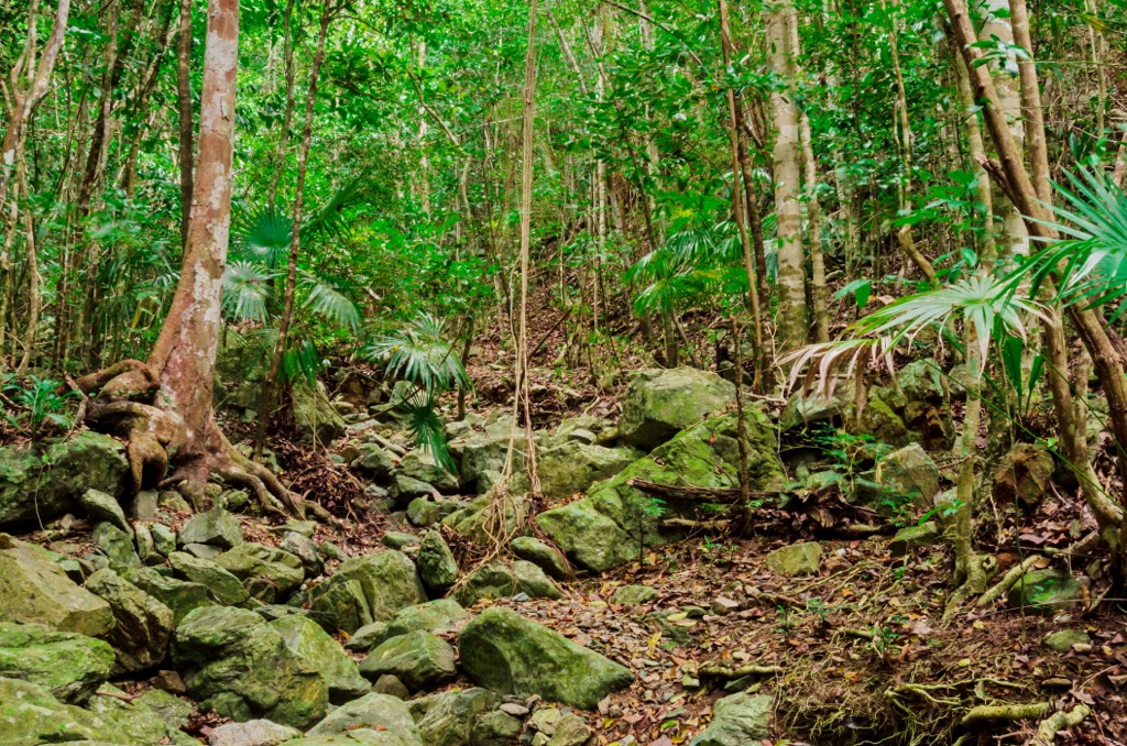 Virgin Islands National Park, US