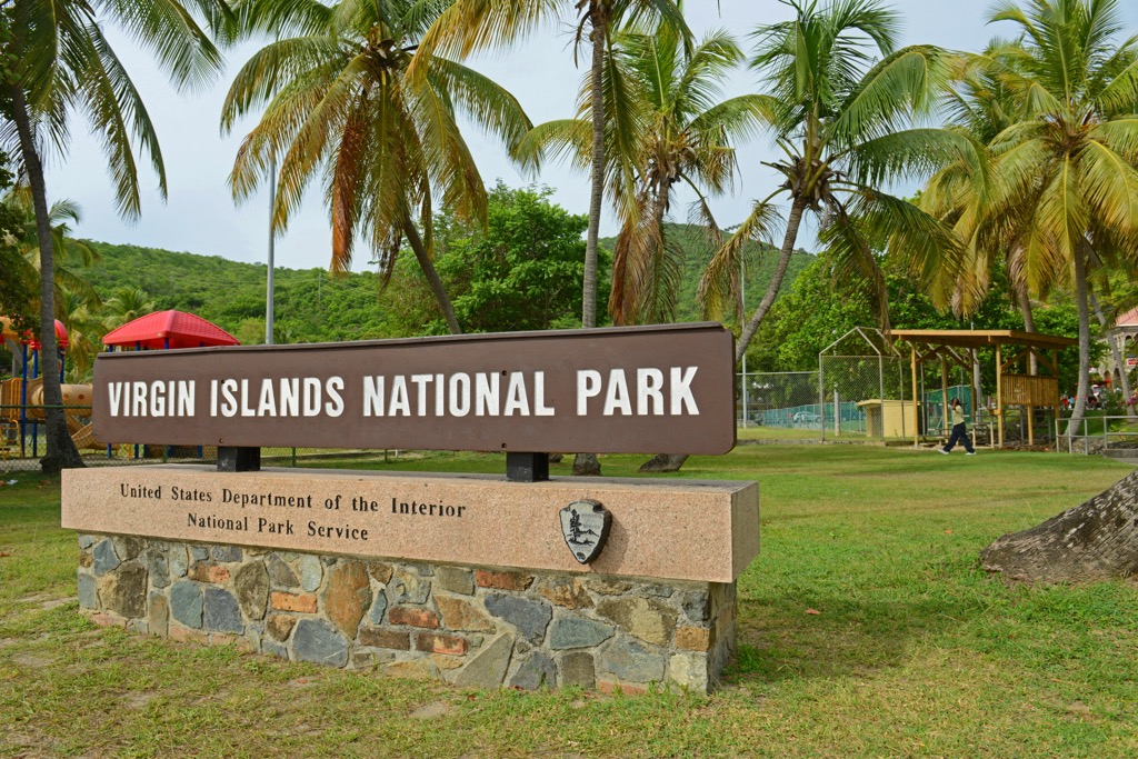 Sea turtle, Virgin Islands National Park, US
