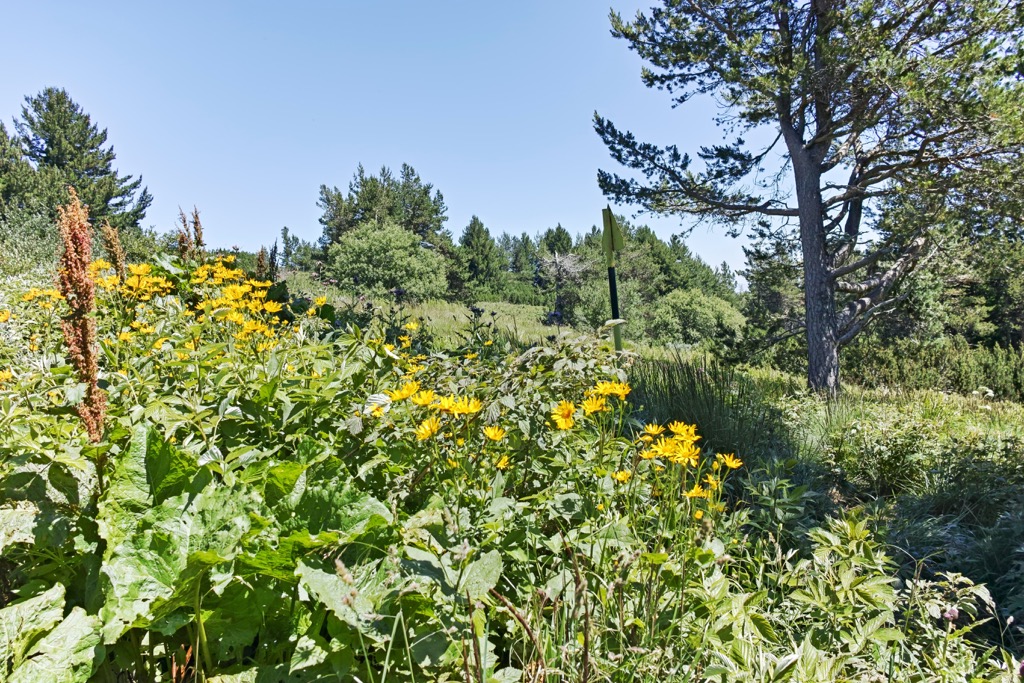 Vitosha Nature Park, Bulgaria