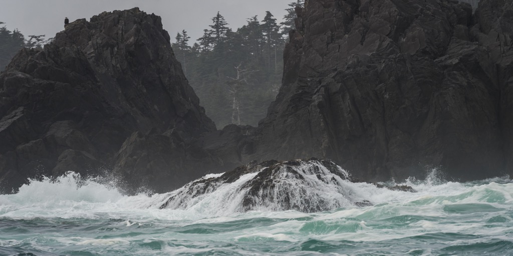 Vladimir J. Krajina (Port Chanal) Ecological Reserve, British Columbia