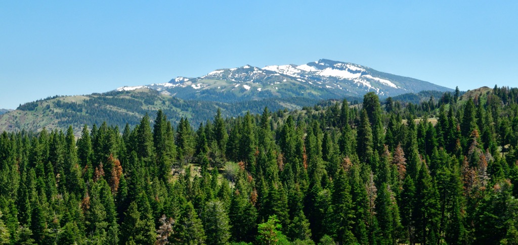 Warner Mountains, California