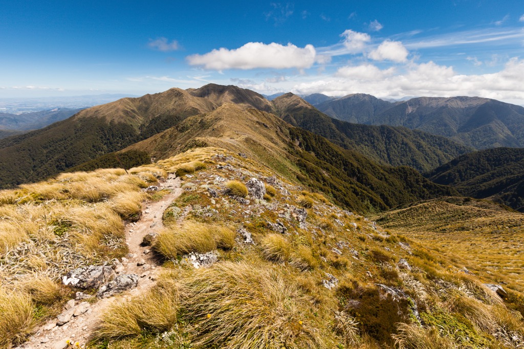 The Mount Holdsworth Jumbo Circuit, Wellington, New Zealand