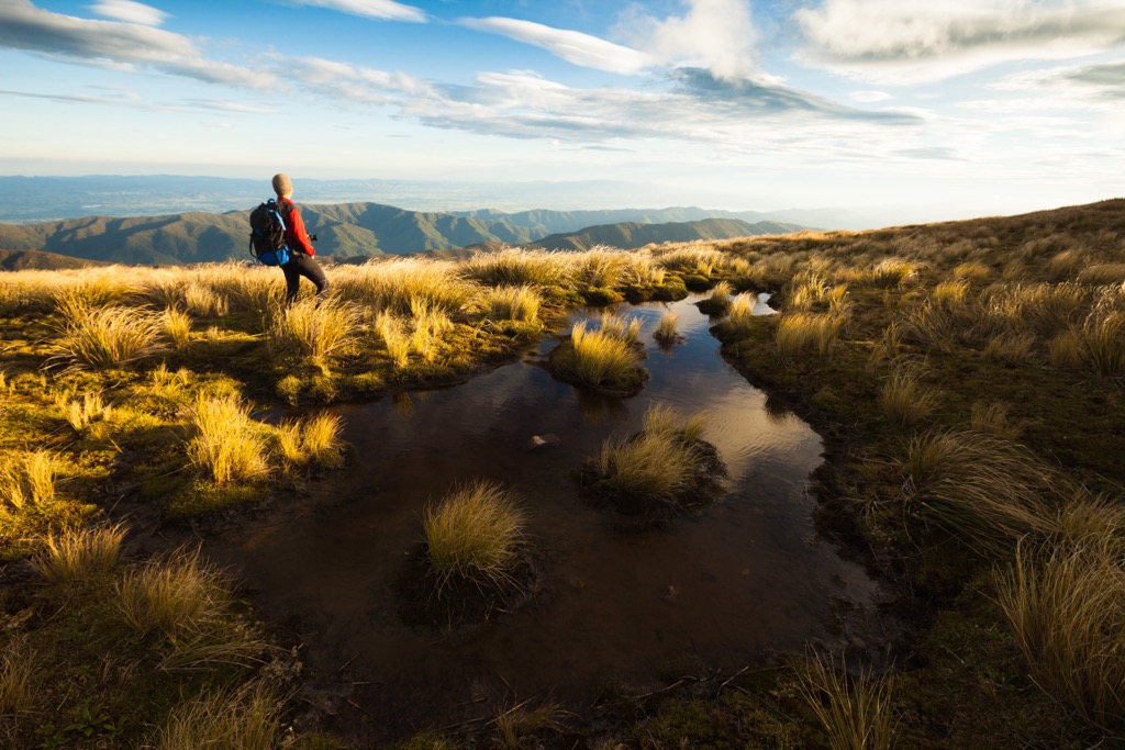 Southern Crossing, Wellington, New Zealand