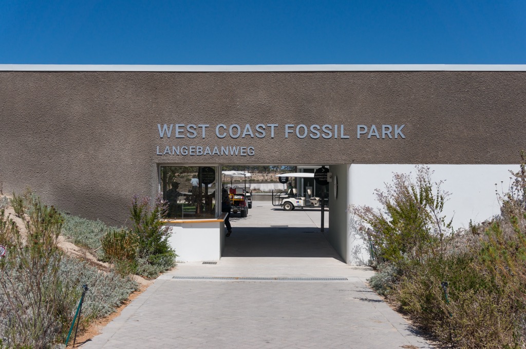 The Fossil Park at Langebaanweg. West Coast NP