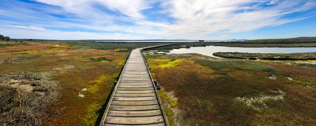 Critically important wetland habitat in West Coast National Park. West Coast NP