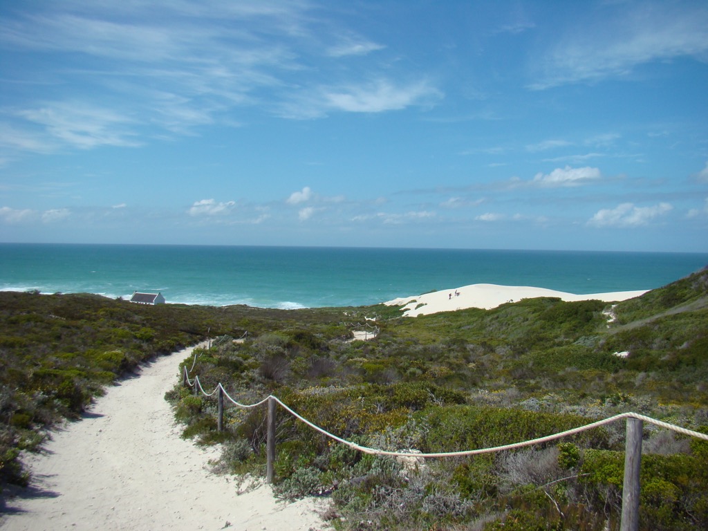 Strandveld vegetation along the coast. West Coast NP